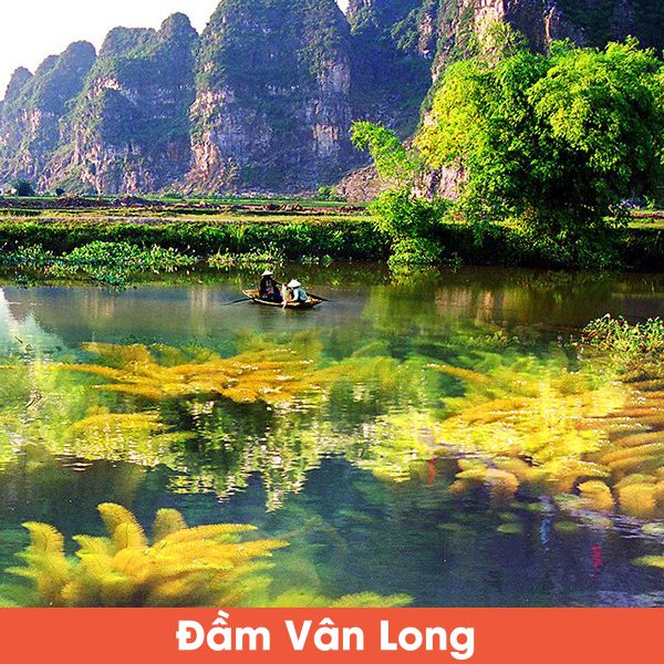 Dam Van Long