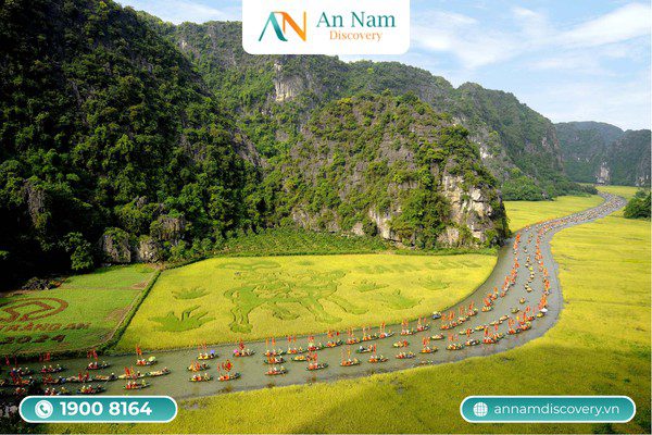 Tour Hoa Lư – Tam Cốc – Hang Múa 1 Ngày