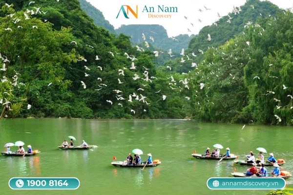 2N1Đ: Tour Hoa Lư – Tam Cốc – Hang Múa – Thái Vi – Bích Động – Thung Nham